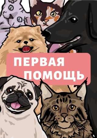 [n_vet] Первая помощь_0.jpg